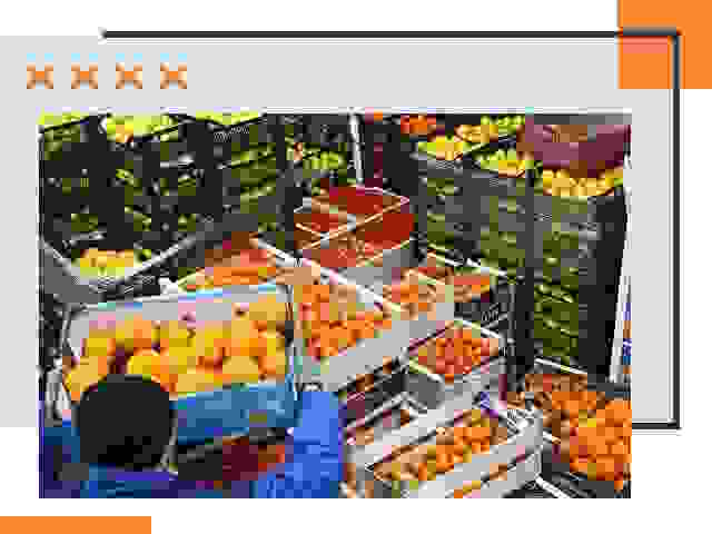 Перевозка скоропортящихся продуктов в Юрге